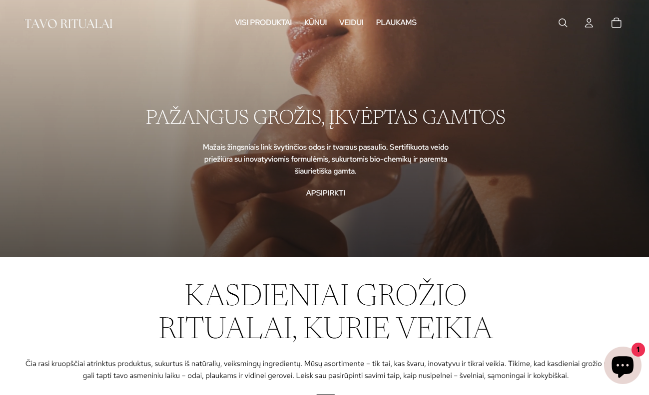 Project screenshot