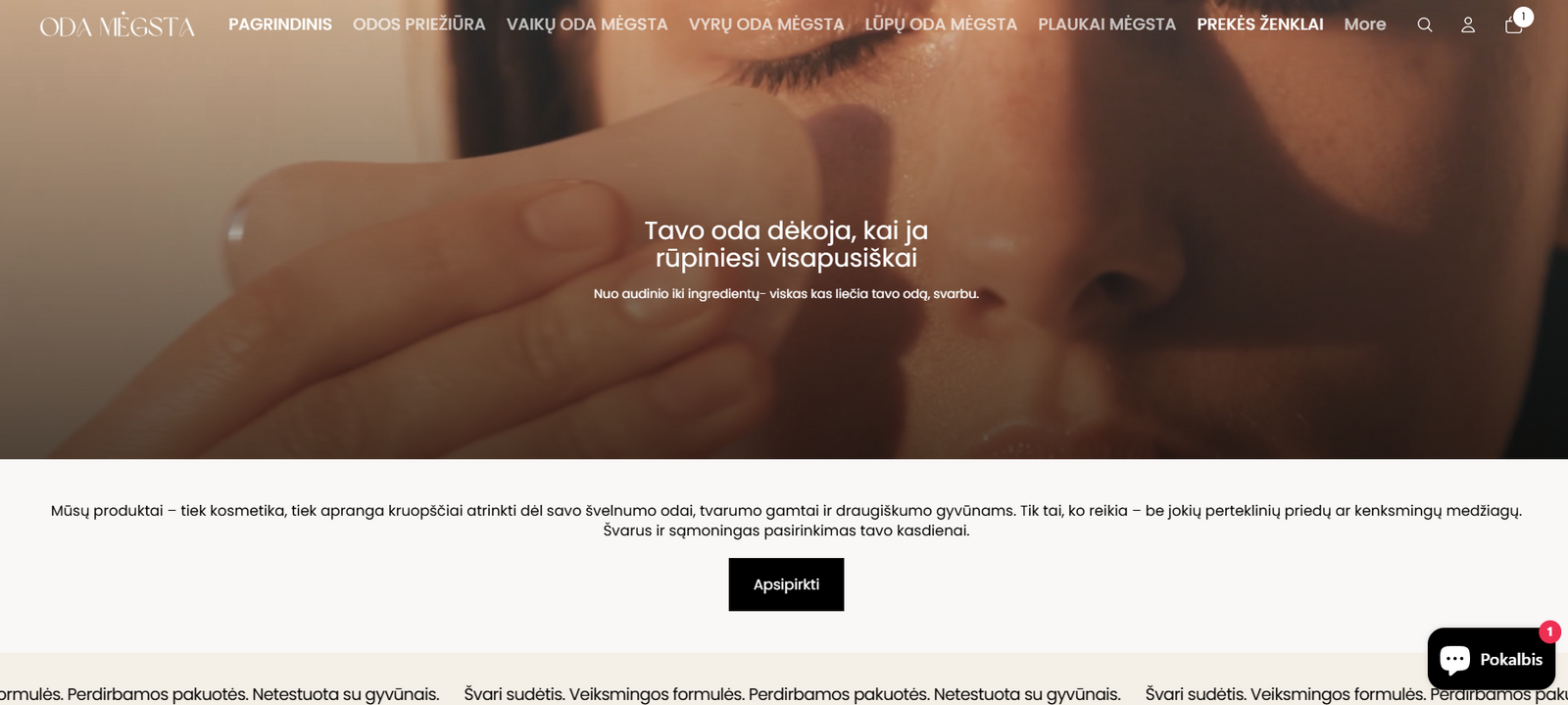 Project screenshot